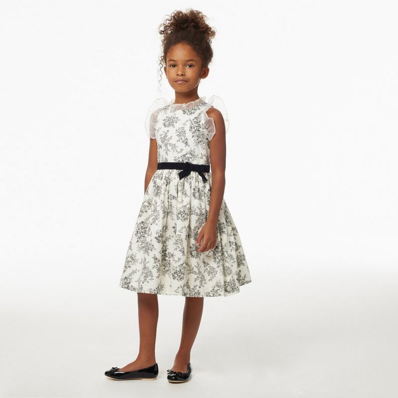 Floral Toile Ruffle Dress - Janie And Jack